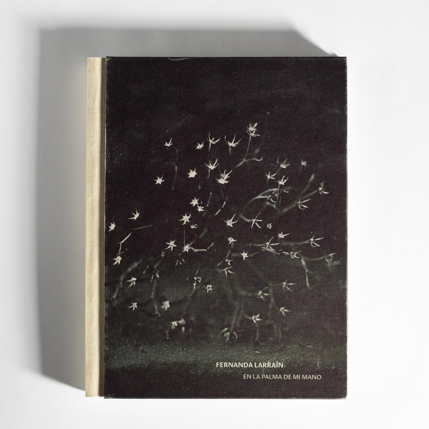 En La Palma de Mi Mano - Fernanda Larraín [Libro]