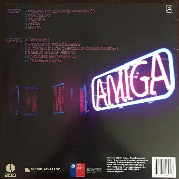 Imagen de la portada del disco Amiga del artista Alex Anwandter