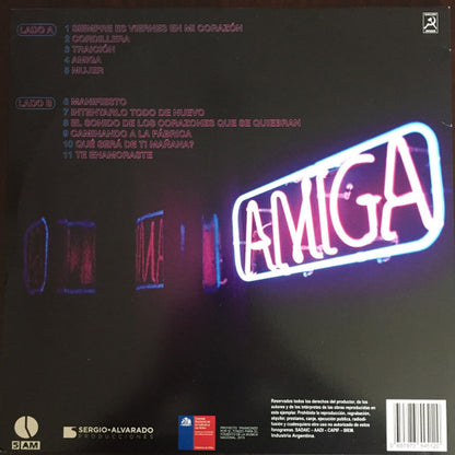 Imagen de la portada del disco Amiga del artista Alex Anwandter